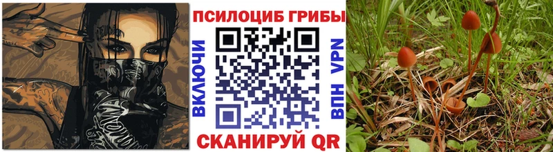 Галлюциногенные грибы ЛСД  Сорск 